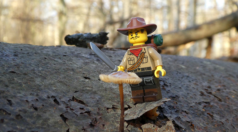 Brick Pic of the Day: Survival instincts