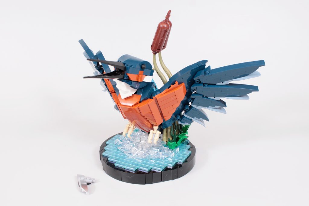 LEGO Icons 10331 Kingfisher Bird review 16 1024x683