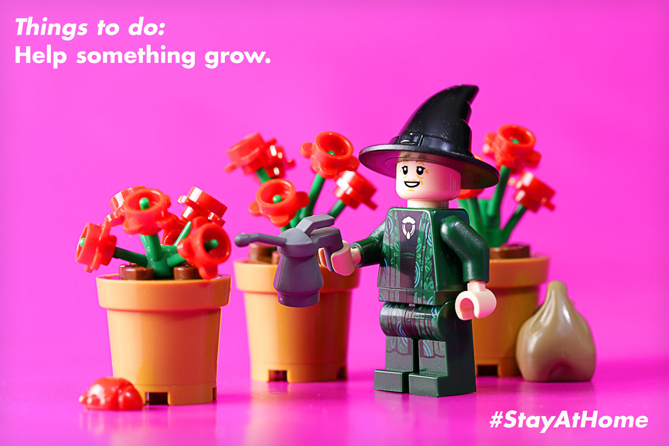 Brick Pic of the Day: Staying at home