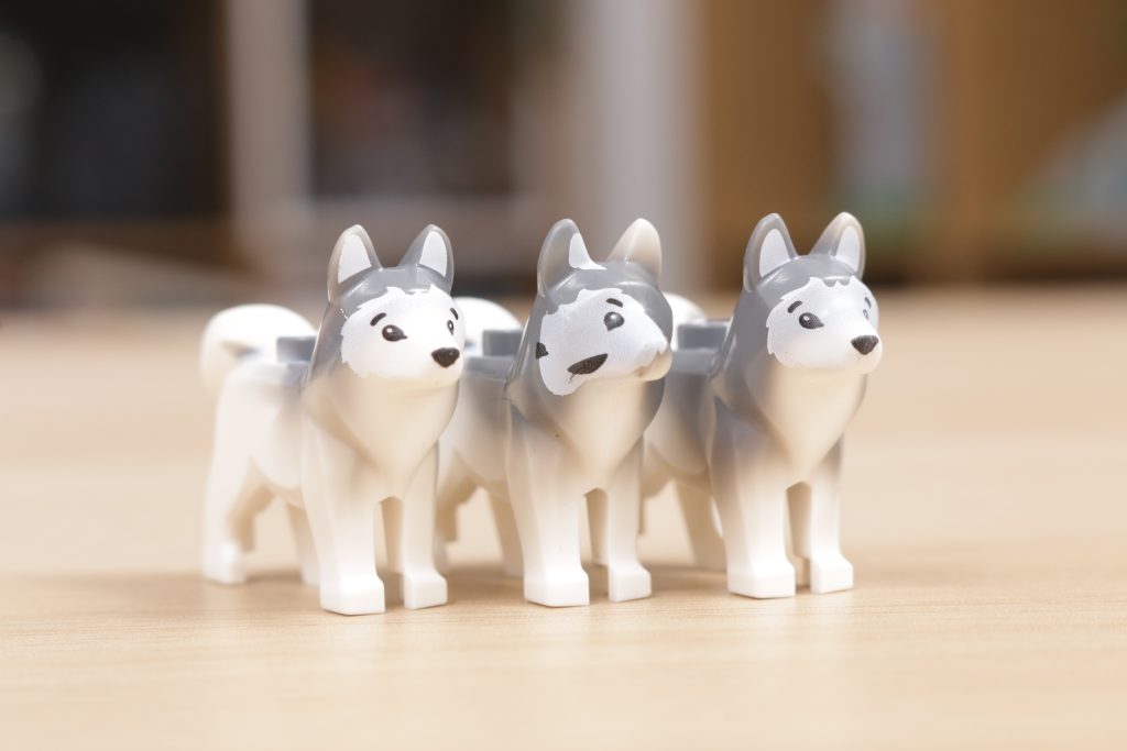 LEGO Husky dog misprint 10 1024x683