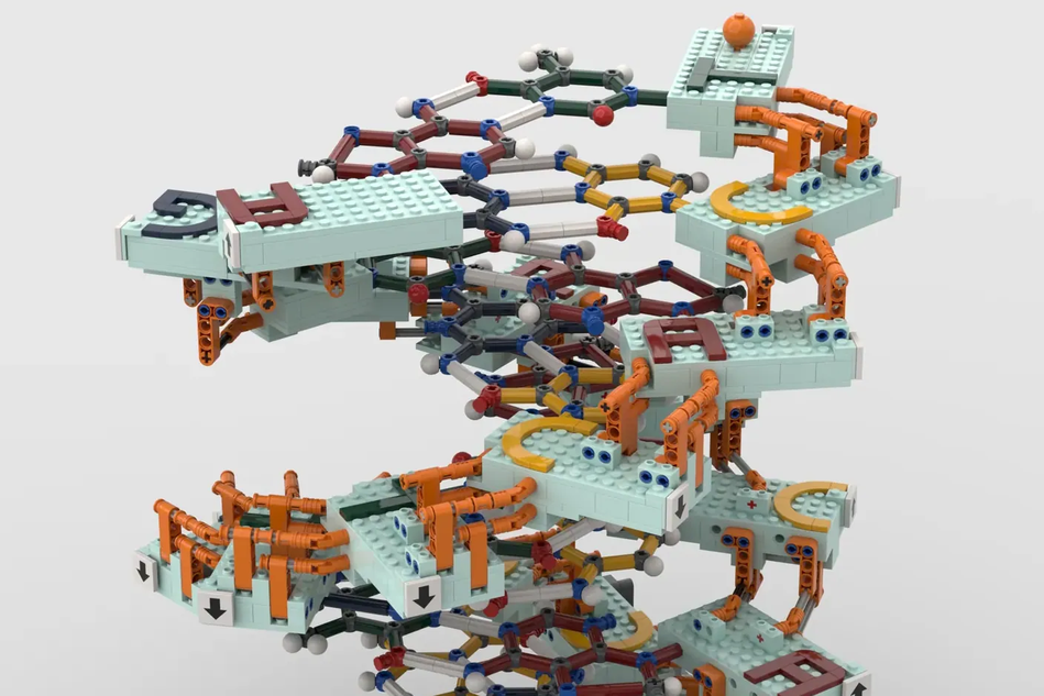 LEGO Ideas DNA 2.0 Double Helix History 11