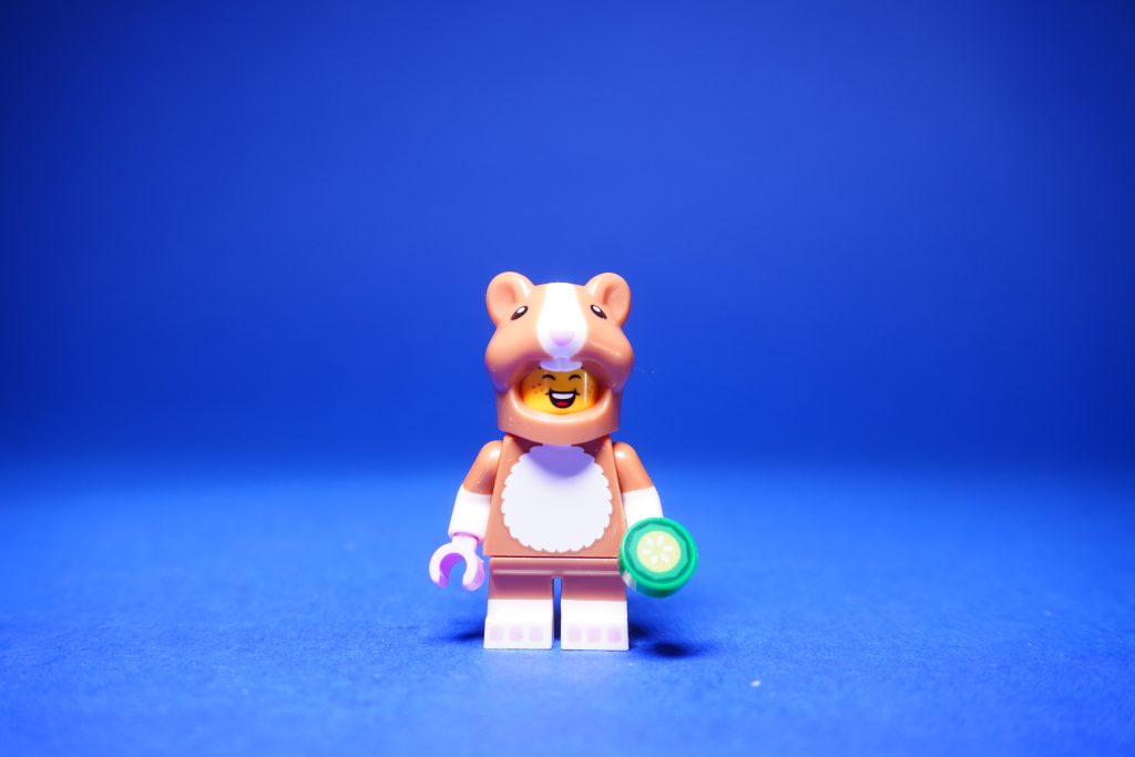 LEGO 71048 Collectable Minifigures Series 27 review 55 1024x683