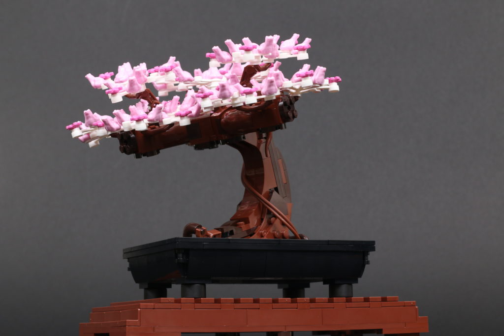 LEGO Botanical Collection 10281 Bonsai Tree review 47