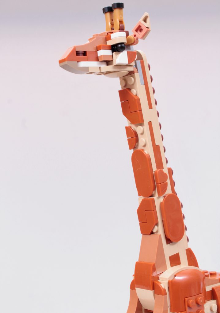 LEGO Creator 3 in 1 31150 Wild Safari Animals review 8 718x1024