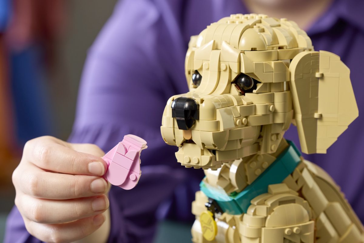 LEGO Icons 11384 Golden Retriever Puppy 14 1200x800