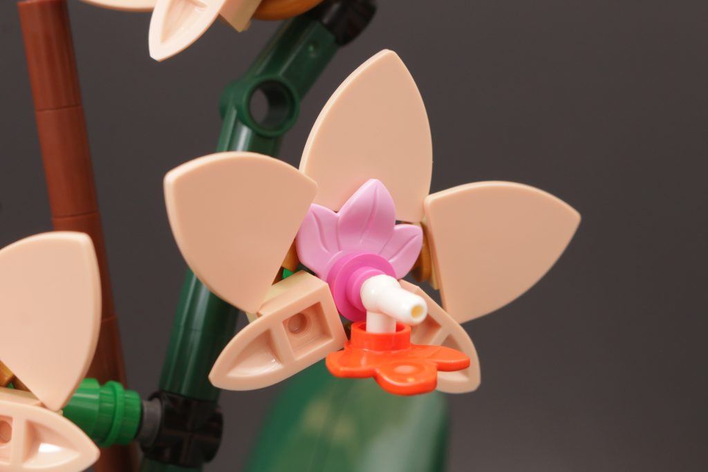 LEGO Botanicals 10343 Mini Orchid and 10344 Lucky Bamboo review 13 1024x683