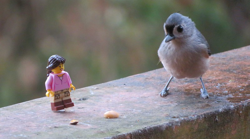 Brick Pic of the Day: Making friends