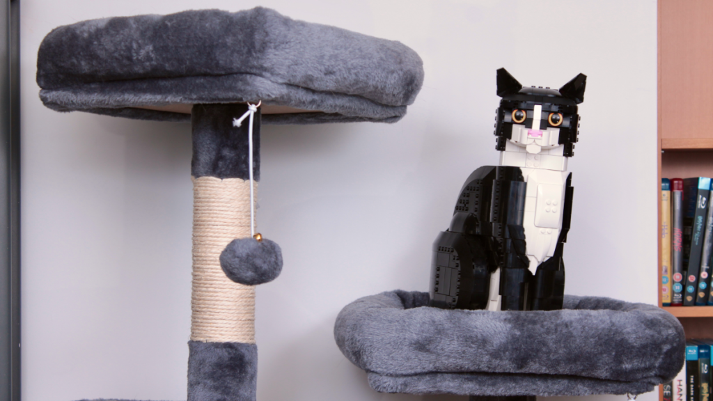 LEGO Ideas 21349 Tuxedo Cat review title 1024x576