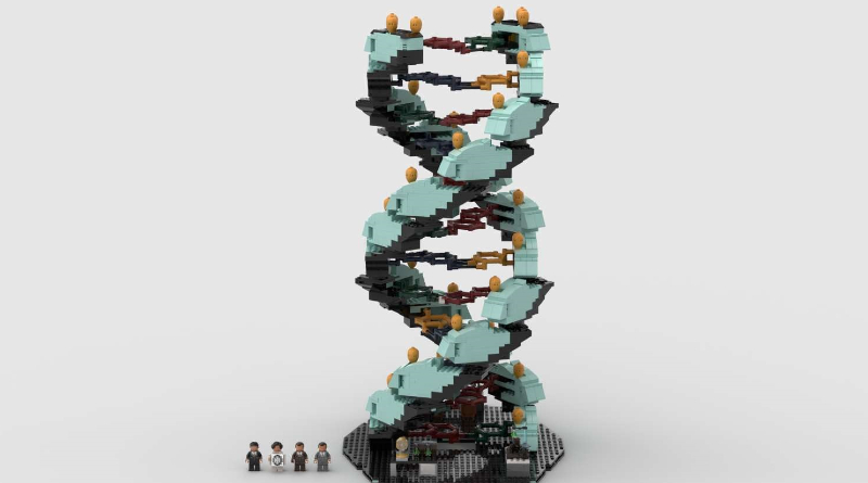 A university student has designed a scientifically-accurate LEGO DNA model