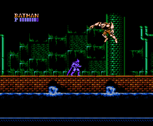 Batman The Video Game